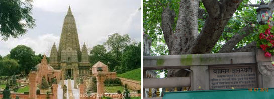 Garden Complex and Pipal Tree