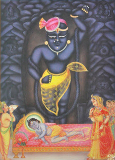 Sri Nathji Darshan