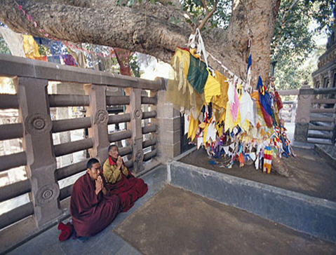 Buddhist Monks at Bodhi Tree