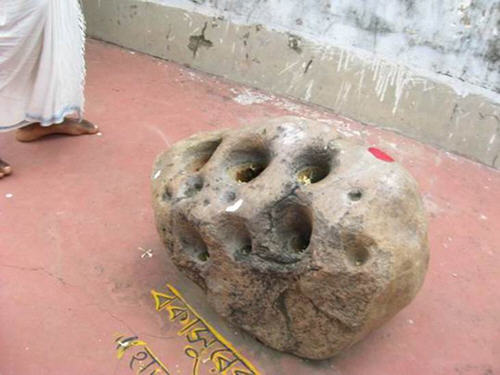 Fossilized Knee-Cap Of Bakasura Demon